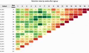 Cohort Analizi Nedir? Retention, Gelir ve CLV’yi Ölçme