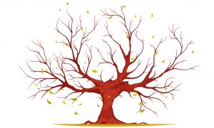 Issue Tree Nasıl Kurulur?