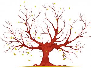 Issue Tree Nasıl Kurulur?