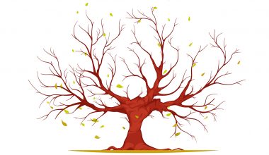 Issue Tree Nasıl Kurulur?