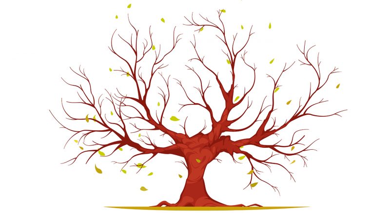 Issue Tree Nasıl Kurulur?