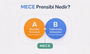 MECE Prensibi Nedir?