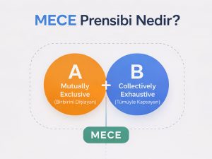 MECE Prensibi Nedir?