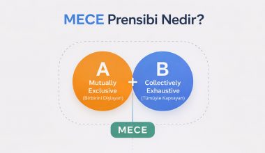 MECE Prensibi Nedir?